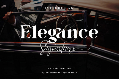 Elegance Signature aesthetic classic font design font duo font style lettering script script font serif typography