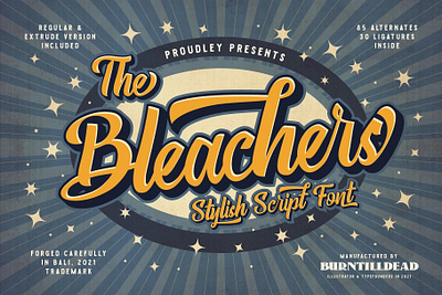 The Bleachers font font design font style script stylish script