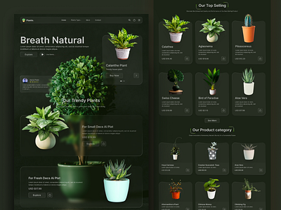 Plant Website Design ecommerce figma natureinspired plantlovers product productdesign uidesign uxdesign webdesign