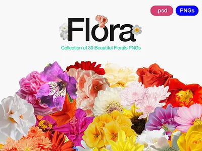 Flora - PNG Collection 0.1 agency asset branding colorful flowers creative flora flora 0.1 floral petals florals flower flower pngs flowers flowers png freebie graphic assets graphic design png graphics