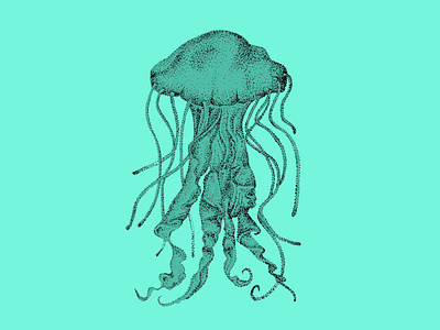 Jellyfish Illustration beach design drawing illustration ink jellyfish nautical ocean pen pen and ink pointilism sea sea life shore spot illustration stippling
