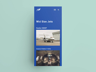 Aviation company with a sleek, luxurious design brand identity branding creative design design graphic design illustration ui ux