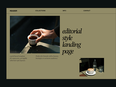 Reader and editorial style landing page web design