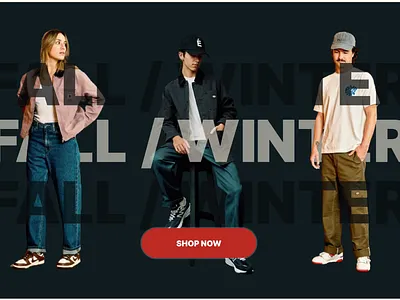 FALL/WINTER graphic design ui website design