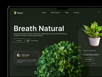 UI Website Interface Page - Planto design figma landing page ui uiux ux web design website