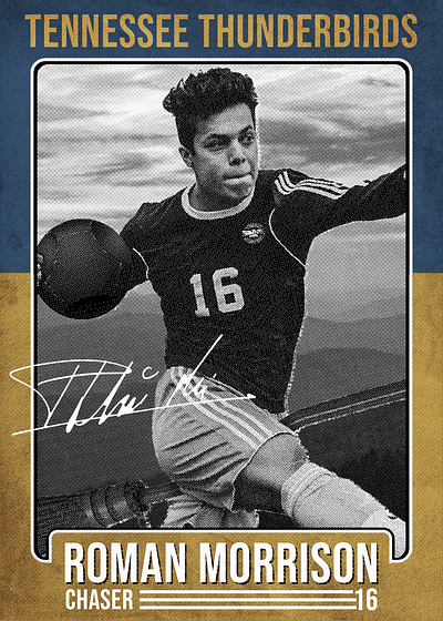 Wizarding Sports Network Trading Card