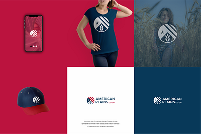 American Plains 3d animation branding graphic design logo motion graphics ui