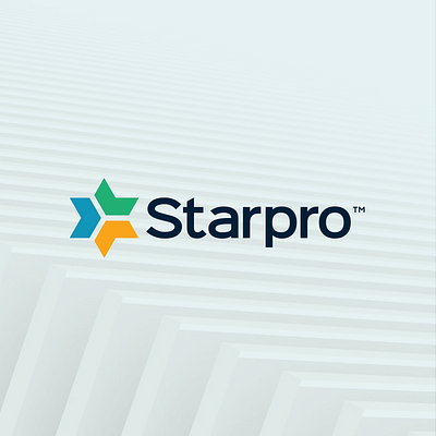 Star Pro Talent Hub, Logo And Brand Identity Design brand guide brand identity branding graphic design logo logo design typography ui design