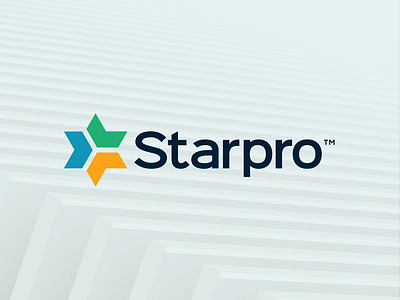 Star Pro Talent Hub, Logo And Brand Identity Design brand guide brand identity branding graphic design logo logo design typography ui design