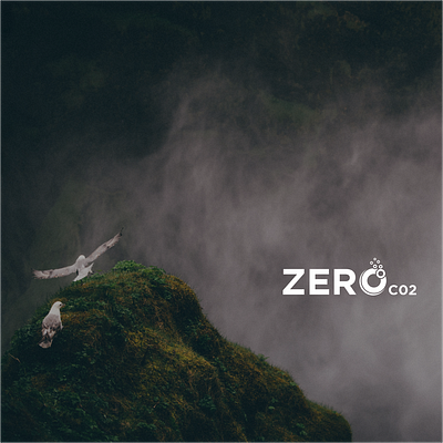 Zero CO2 3d animation branding graphic design logo motion graphics ui