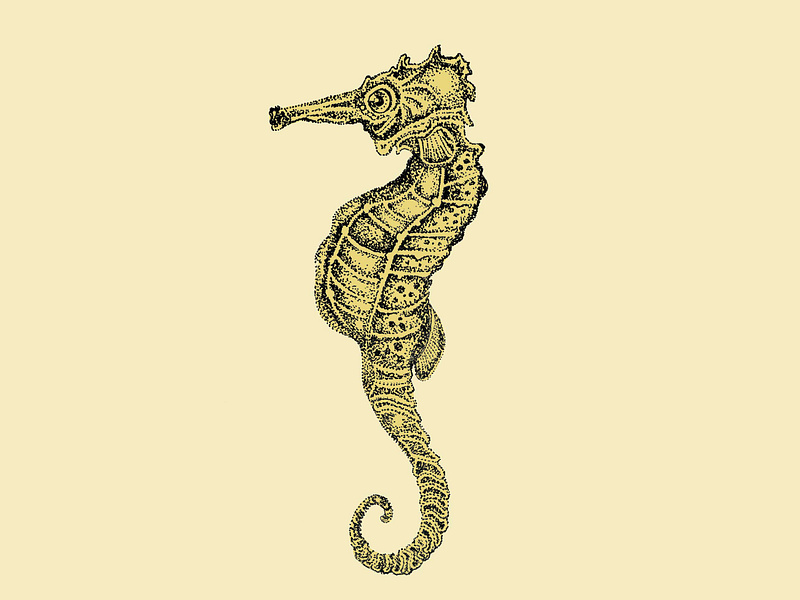 Pen & Ink Seahorse Illustration animal illustration beach design dots editorial illustration flat style horse illustration ink inktober ocean original pen pen and ink pointilism sea creature seahorse stipple unique yellow