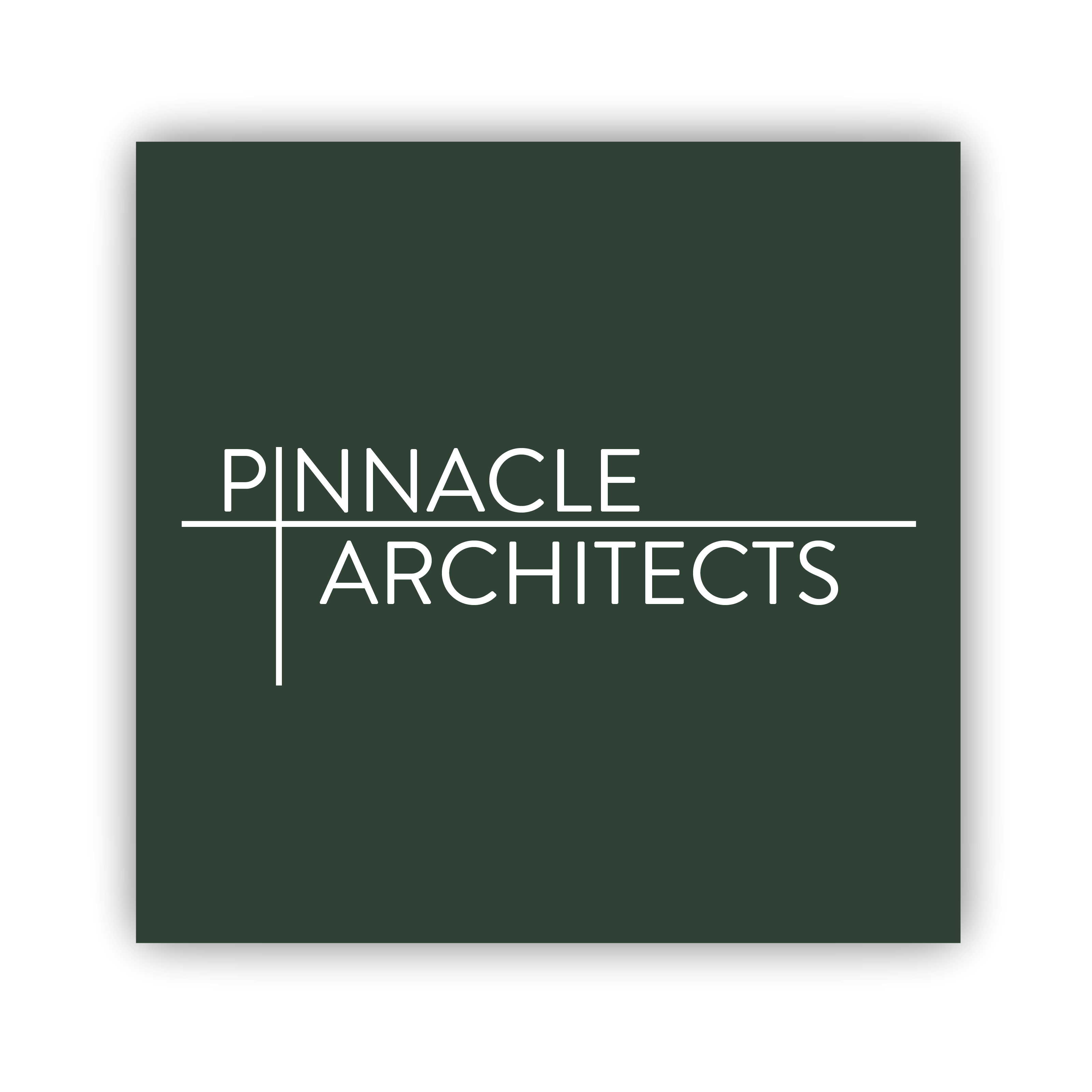 Mockup Logo for Pinnacle Architects branding logo typography