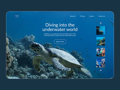 Diving Club concept design diving sea ui