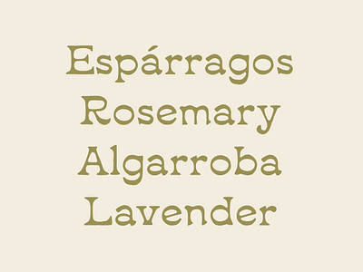 Power - Groovy & vintage font branding español font groovy groovy font handmade handmade font multilingual tipografia tipography typography vintage vintage font vintage groovy