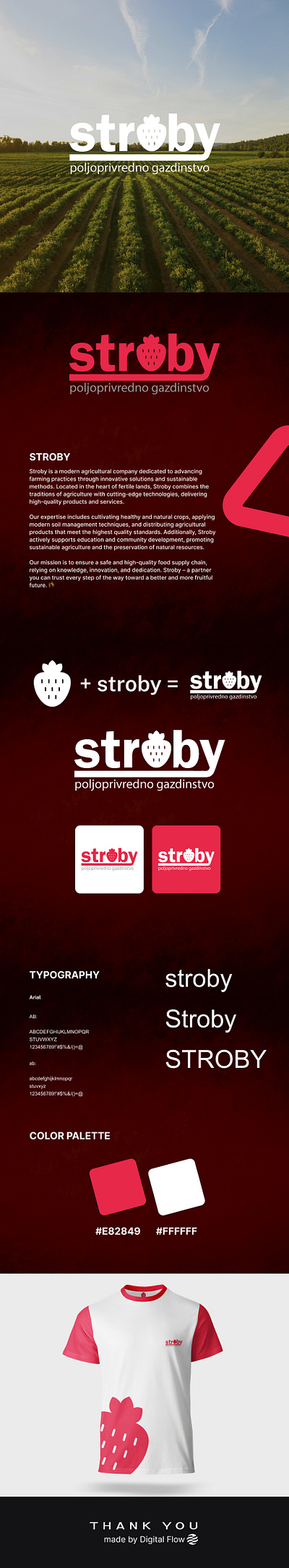 Logo design | Branding | Stroby brand logo