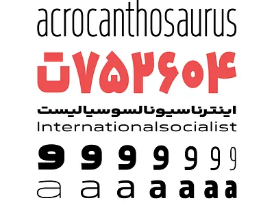 Yekan Bakh Typeface arabic bilingual design latin persian type typography