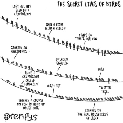 The Secret Lives of Birds animals birds comic digital illustration procreate