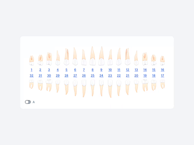 Teeth Selector dental multiselect origami prototype teeth ui