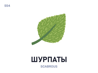 Шурпáты / Scabrous belarus belarusian language daily flat icon illustration vector word