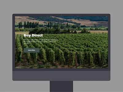 Clayton Hops Wix Design & Development website development