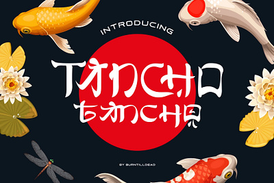 Tancho branding font design font style japan style lettering typeface typeface design
