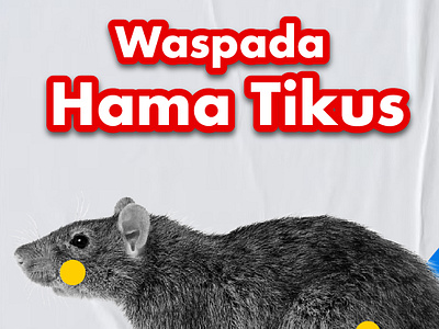 Hama Tikus hama pestcontrol solusi tikus