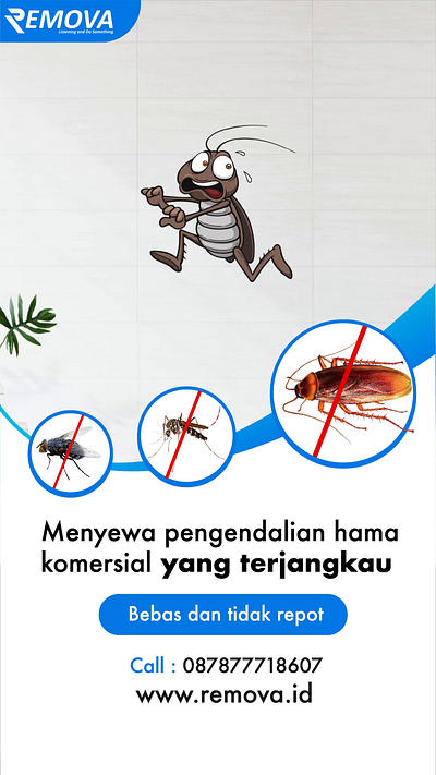 Pest Control Profesional designreals hama ig instagram kecoa lalat nyamuk pestconrol reals tiktok