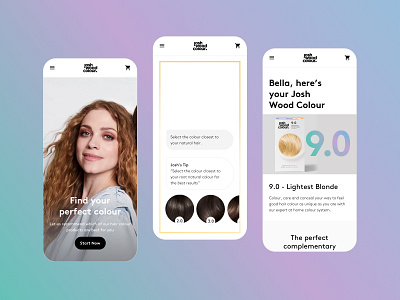 Digital Consultation chat bot consultation hair colour qa results page ui ux