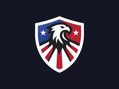 American Eagle america eagle shield