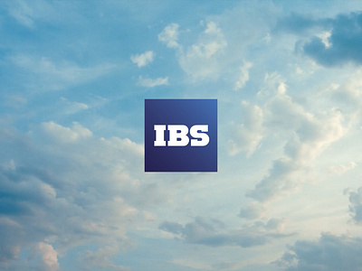 IBS IT-Company Rebranding alexeymalina b2b branding it branding it company logo design malina branding rebranding