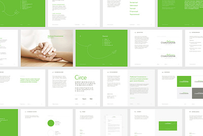 Lyubimaya Dental Clinic Branding alexeymalina brand guides brand manual brandbook clinic branding clinic identity dental clinic malina branding