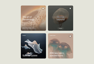 Website card design bold branding cards clean design midjourney minimal simple space ui website