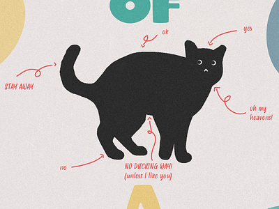 Anatomy of a cat cat cat poster cute cute poster design funny funny poster graphic design gren greny humour illustration minimalism pastel poster design