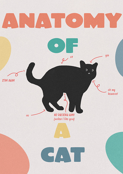 Anatomy of a cat cat cat poster cute cute poster design funny funny poster graphic design gren greny humour illustration minimalism pastel poster design