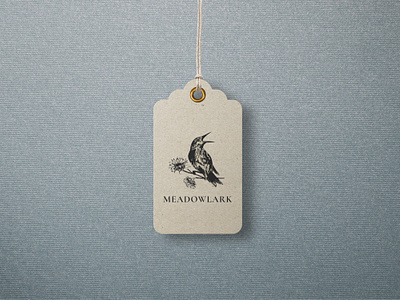 Branding | Meadowlark