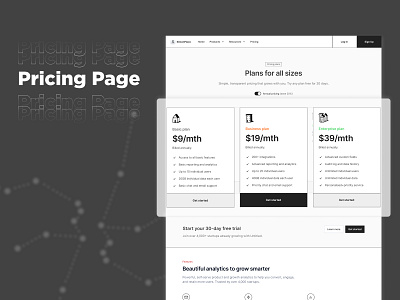 Pricing Page ui