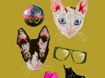 Cats and Things art cats color custom illustration disco doc. martins graphic design illustration