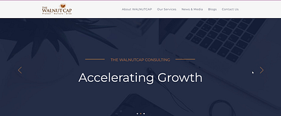 The Walnut Cap Consulting Website branding css design digital agency html illustration js seo uiux web designing web development wix wordpress