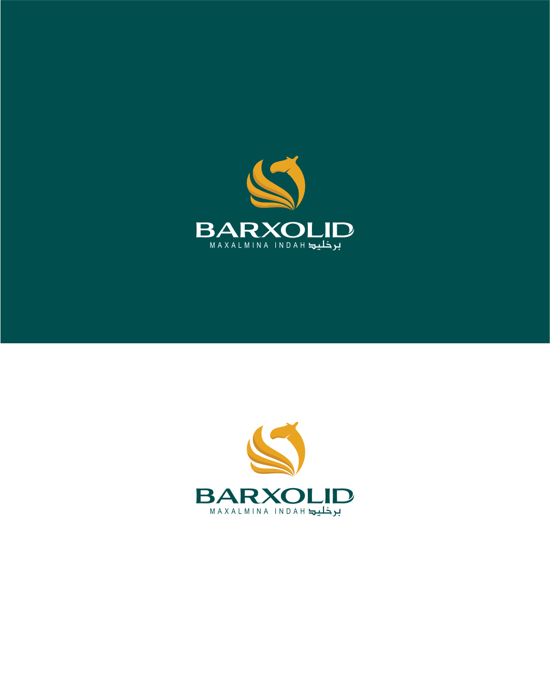 Barxolid's Brand Identity branddesign brandidentity branding design graphic design illustration logo logodesign professionallogo