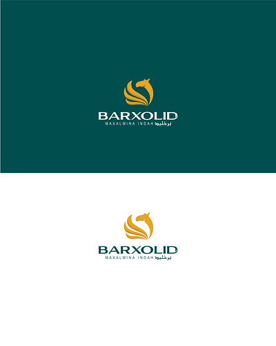 Barxolid's Brand Identity branddesign brandidentity branding design graphic design illustration logo logodesign professionallogo