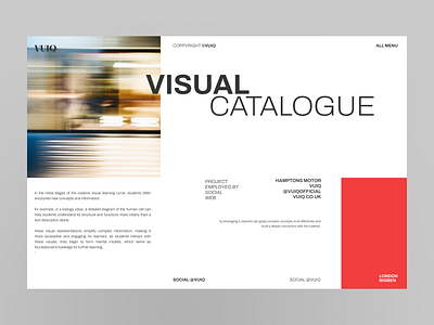 VUIQ - Visual Catalogue branding design illustration ui ui design uid uidaily uidesign uiux ux