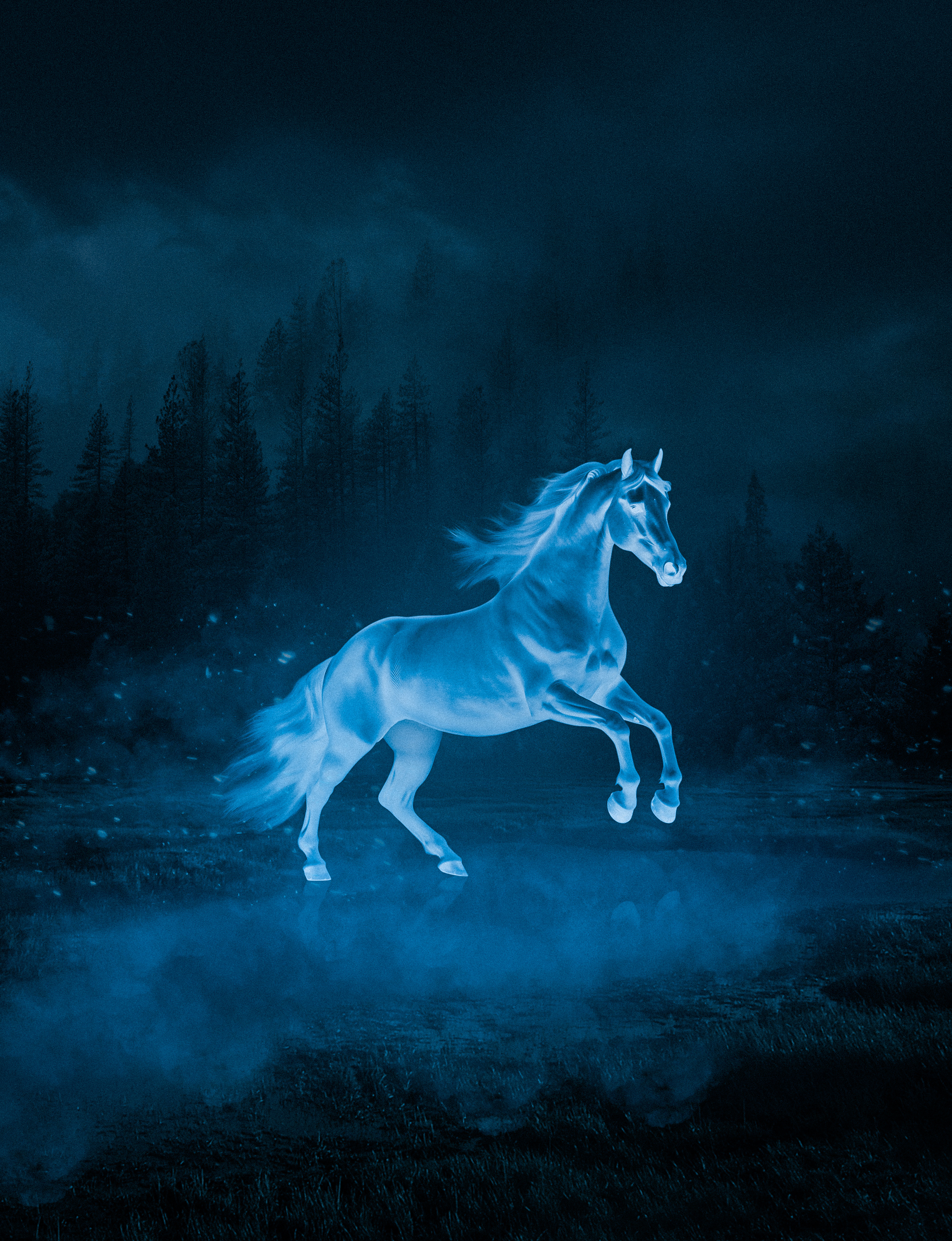 Glowing horse (photo manipulation) glow glowing horse glowing thumbnail graphic design horse horse manipulaiton photo manipulation