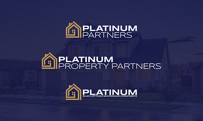 Platinum Partners Logo branding design fiverr graphic design logo logo design minimalistic visual identity