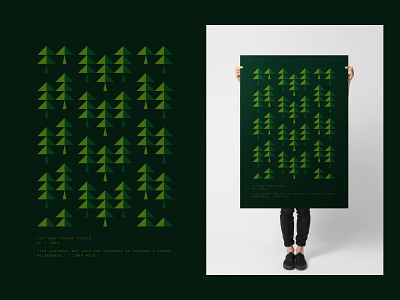 Forest - Poster Design cover fir fir tree forest geometric green minimalist nature poster poster design tree wood