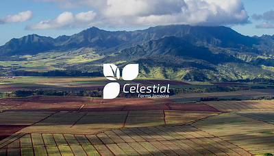 Celestial Farms Jamaica Logo branding design graphic design logo logo design minimalistic vector visual identity