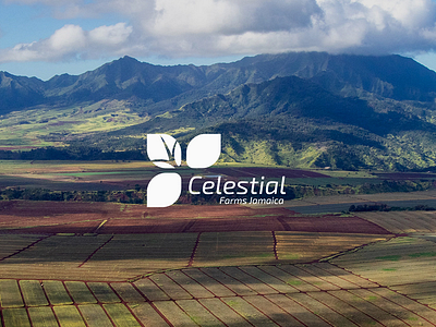 Celestial Farms Jamaica Logo branding design graphic design logo logo design minimalistic vector visual identity