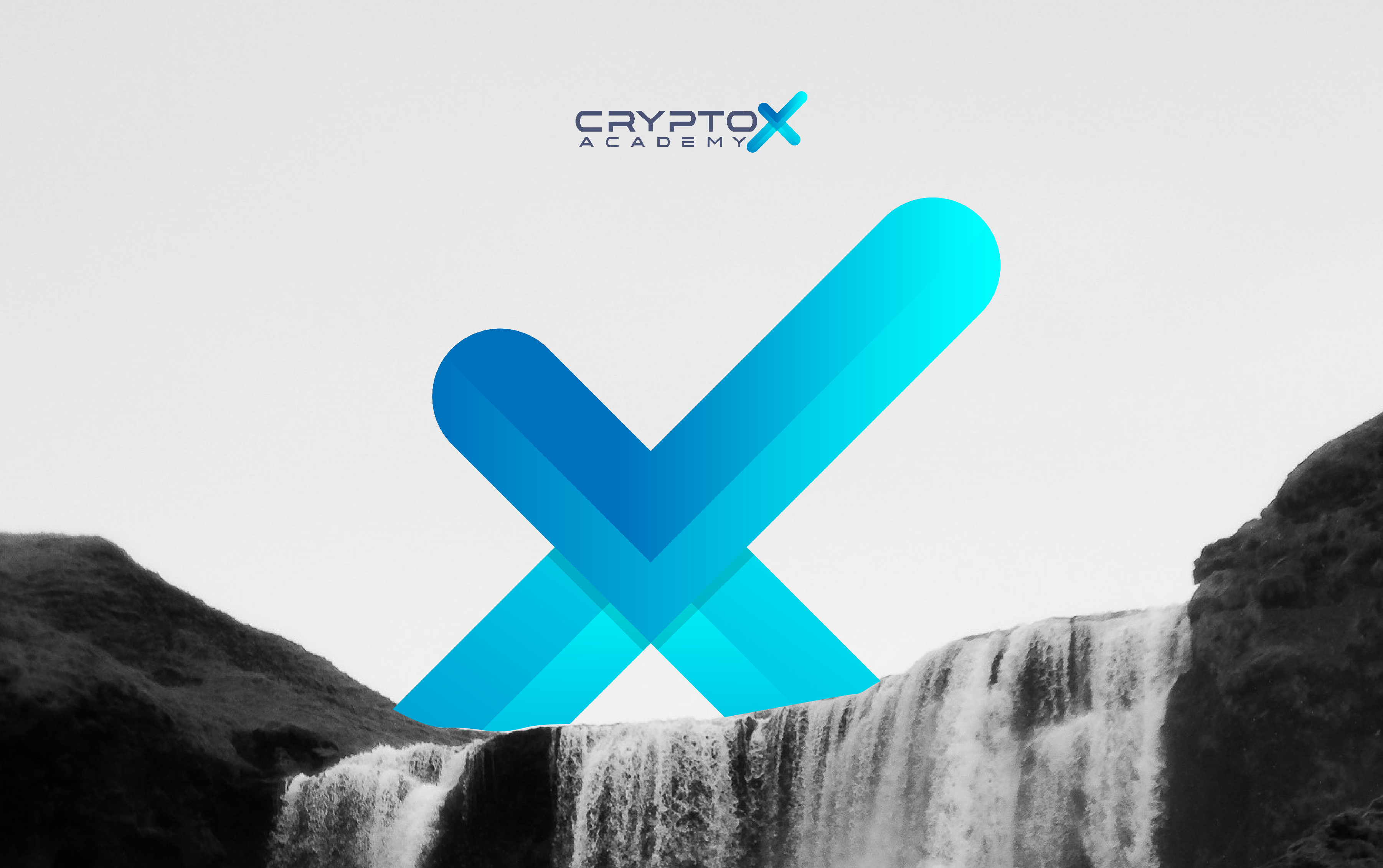 Crypto X Academy Branding Project academy academy logo brand identity branding creative logo cryptologo cryptox design graphic design illustration logo logo design minimal logo modern logo