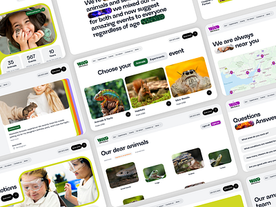 Landing page UI 2d animals bright colors business button cards children cta design hero landing page light logo map science sections typography ui uk zoo