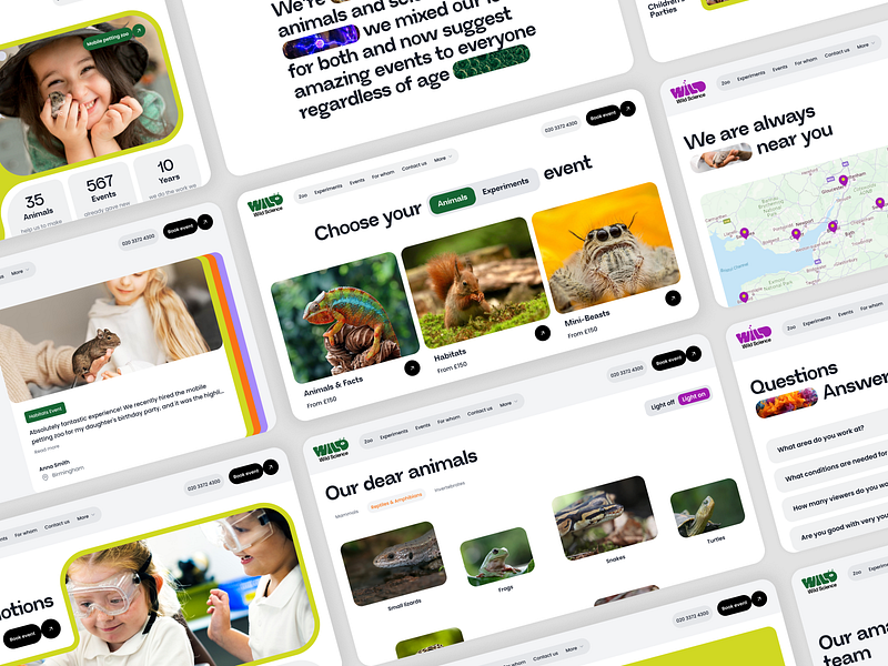 Landing page UI 2d animals bright colors business button cards children cta design hero landing page light logo map science sections typography ui uk zoo