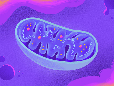Mitochondria biology biomedical cell cellular creative design dna drawing illustration medical illustration medicine mitochondrion procreate purple science